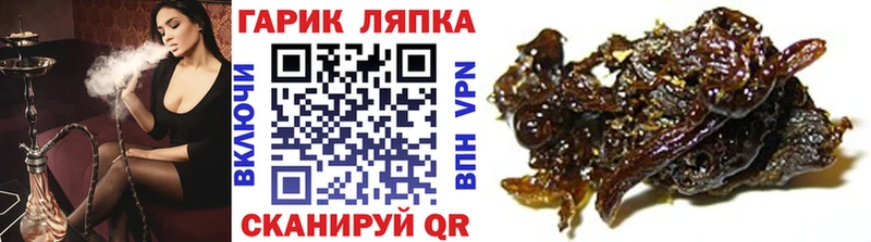 где можно купить наркотик  Дзержинский  Гашиш hashish 