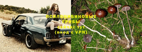 метадон Гусь-Хрустальный
