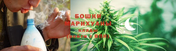 дурь Гусиноозёрск