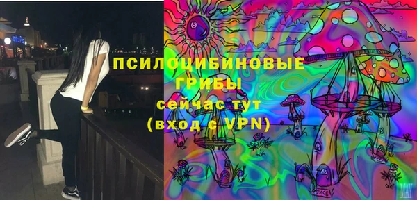 дурь Гусиноозёрск