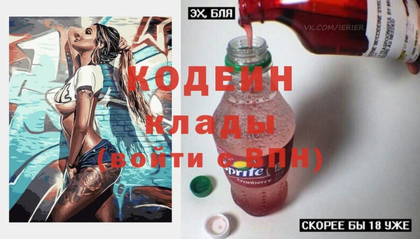 дурь Гусиноозёрск