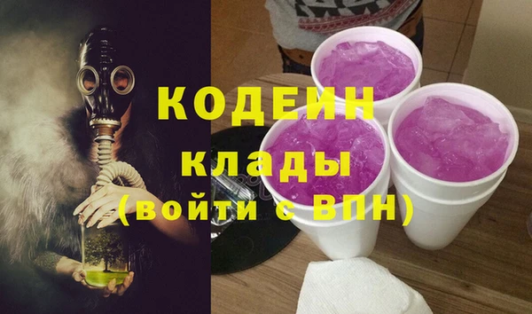дурь Гусиноозёрск