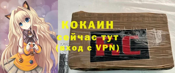 метадон Гусь-Хрустальный