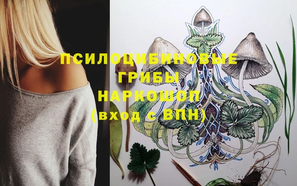 синтетический гашиш Гусев