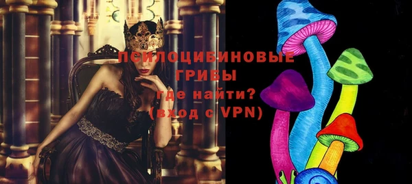 метадон Гусь-Хрустальный