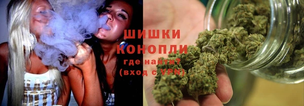 дурь Гусиноозёрск