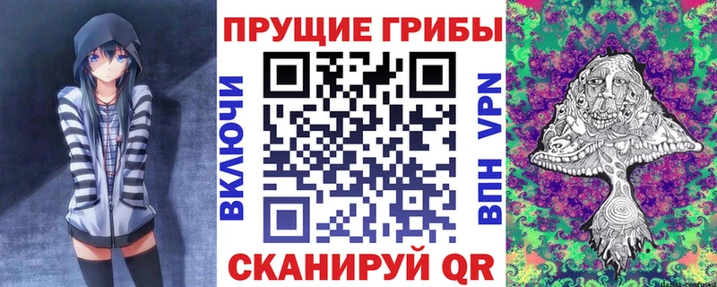 купить закладку  Дзержинский  Псилоцибиновые грибы ЛСД 