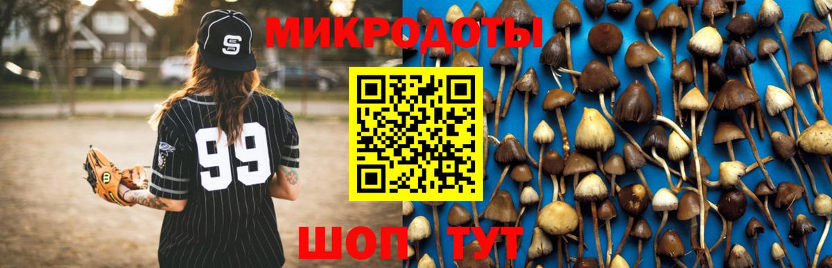 Псилоцибиновые грибы ЛСД  Вход с VPN  где найти   Дзержинский  Псилоцибиновые грибы ЛСД 